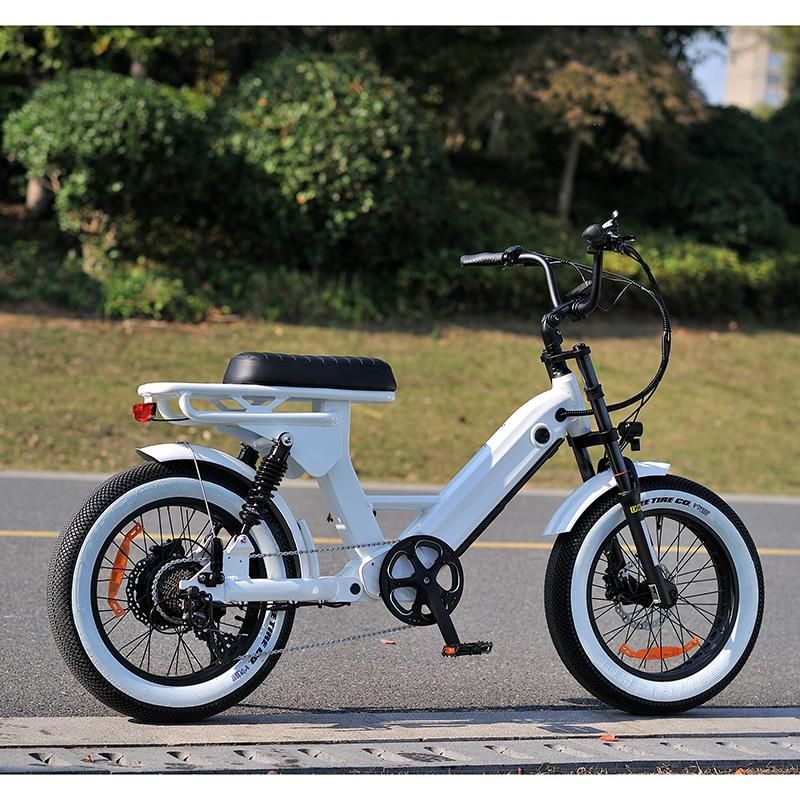 What Urban Mobility Projects Expect from an Electric Urban Bike Manufacturer in Real City Conditions